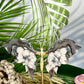 Black Flower Agate Butterfly Wings with Stand Healing Crystal Carving