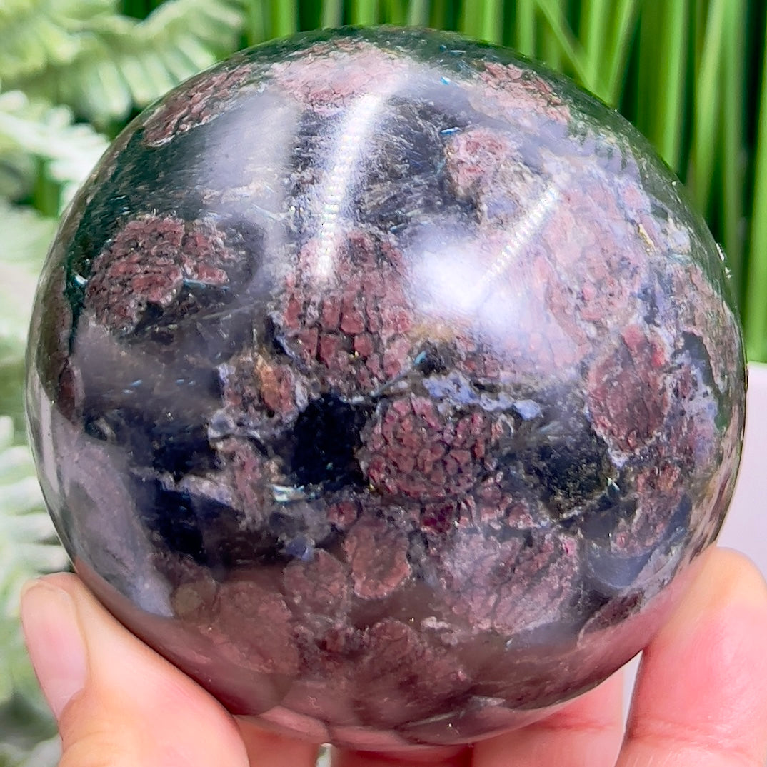 Garnet in Arfvedsonite Sphere Healing Crystal Ball 748g 76mm