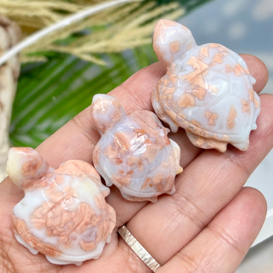 Pink Cotton Candy Druzy Agate Cute Turtles Gemstone Sea Creatures Healing Crystal Animal