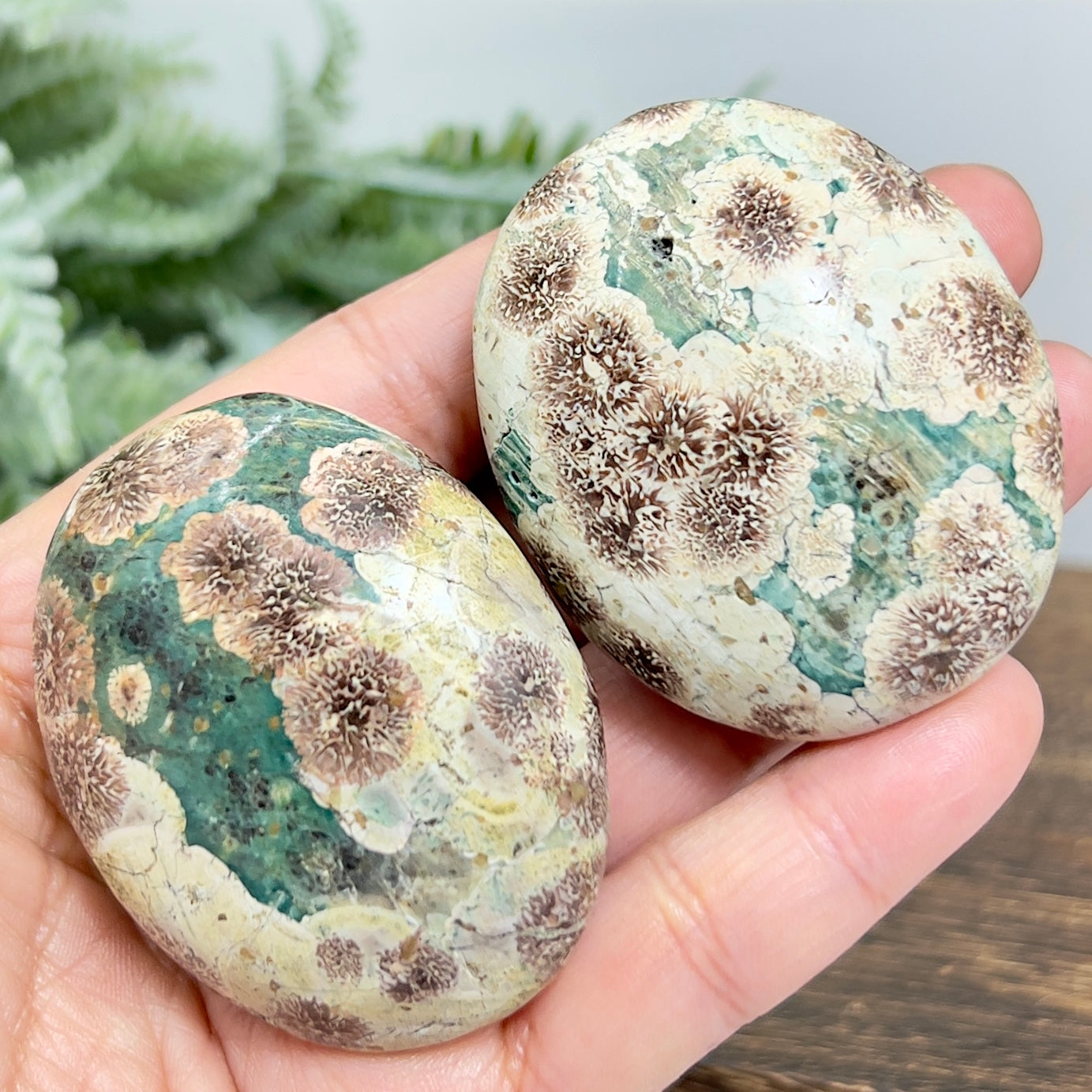 Russian Flower Cherry Blossom Jasper Rare Palm Stone Healing Meditation Crystal