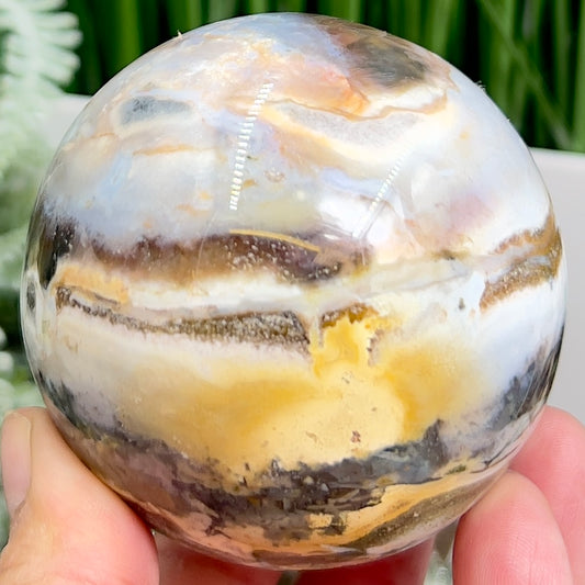 Ocean Sea Jasper Sphere Healing Crystal Ball 426g 67mm