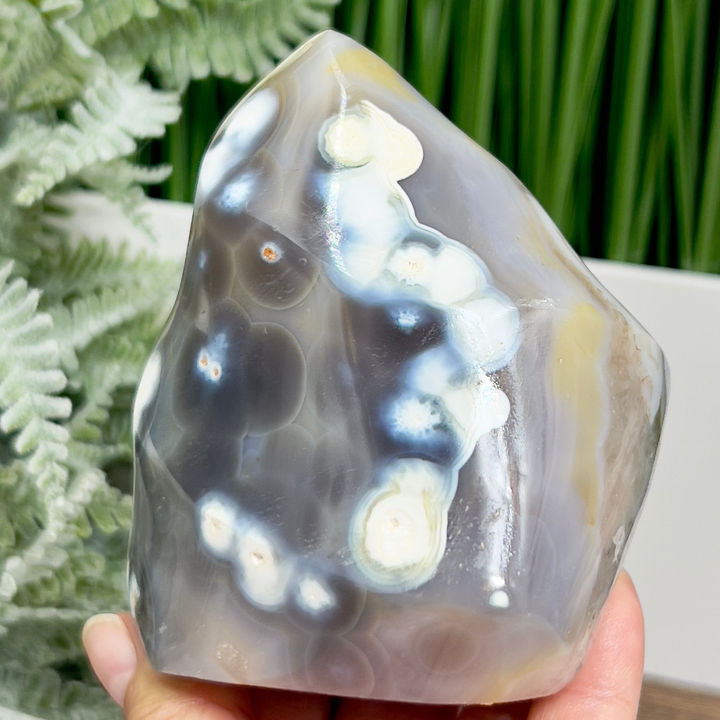 Orca Agate Ocean Agate Ocean Orbicular Agate With Quartz Flame Healing Crystal Carving 587g