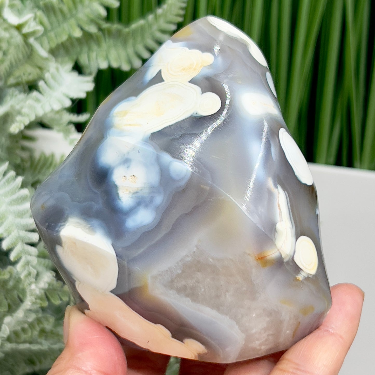 Orca Agate Ocean Agate Ocean Orbicular Agate With Quartz Flame Healing Crystal Carving 587g