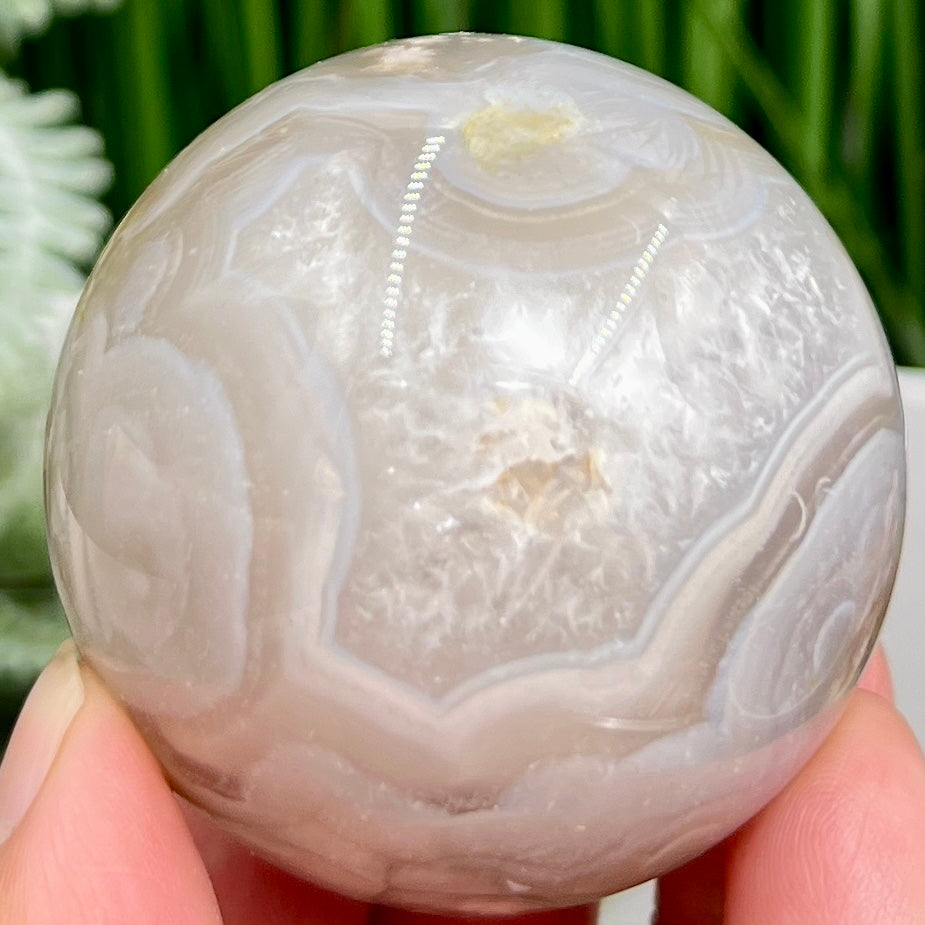 Flower Agate with Quartz Sphere Healing Crystal Ball 228g 55mm