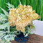 Smoky Citrine Cluster With Stand Raw Crystal Specimen 1130g