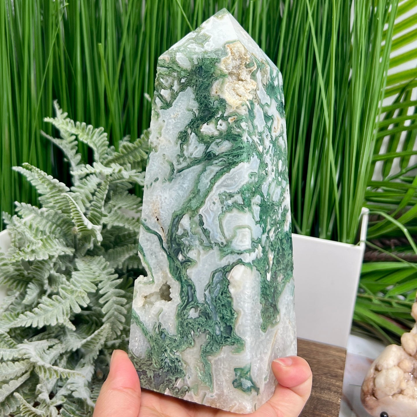 Tree Agate Tower Healing Crystal Generator 1548g 202mm