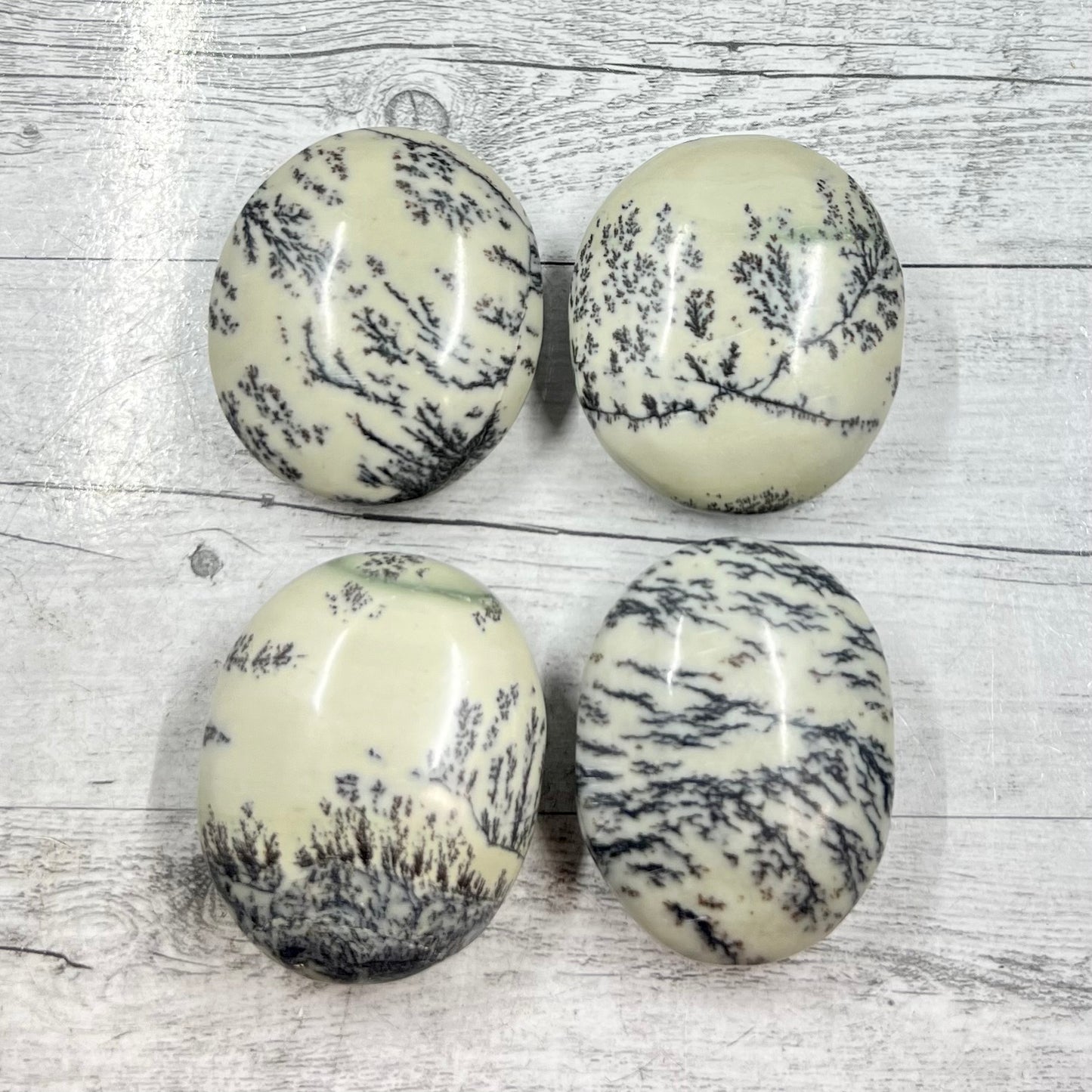 Dendritic Jasper Palm Stone Reiki Worry Natural Meditation Crystal