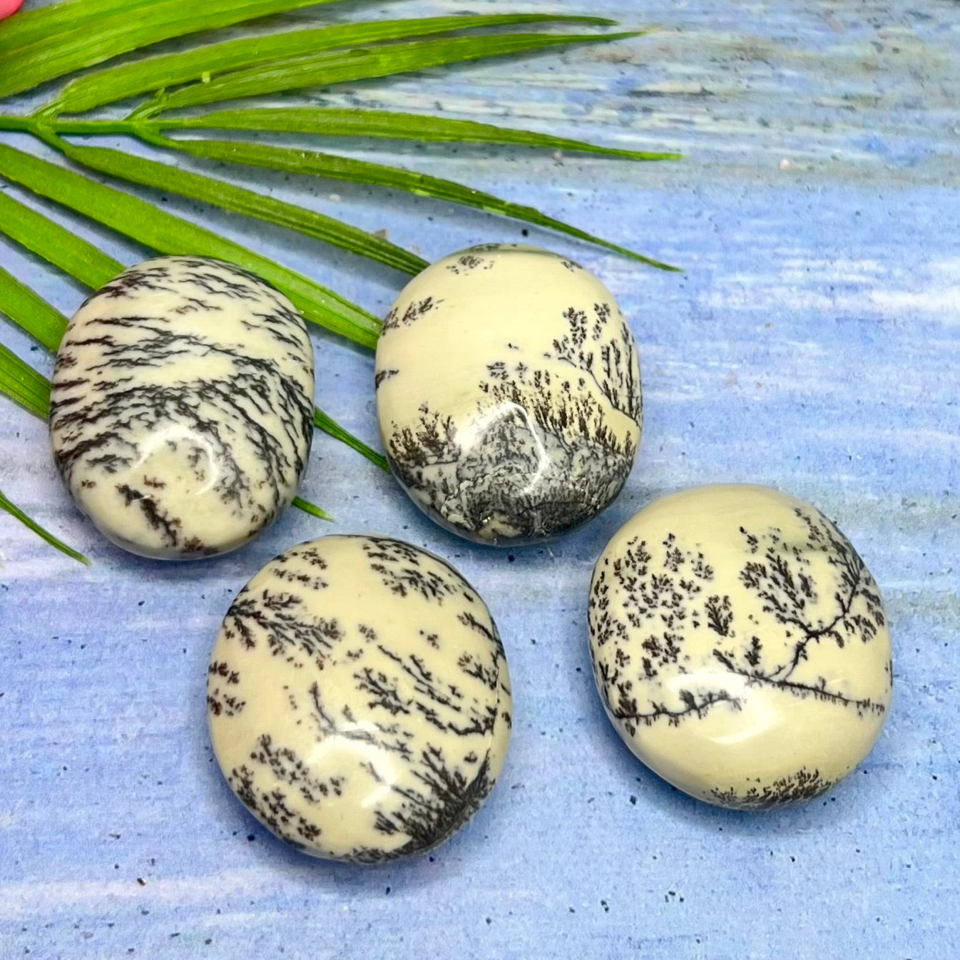 Dendritic Jasper Palm Stone Reiki Worry Natural Meditation Crystal