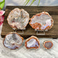 Agate Slice Slab Natural Raw Crystal Australian Seller