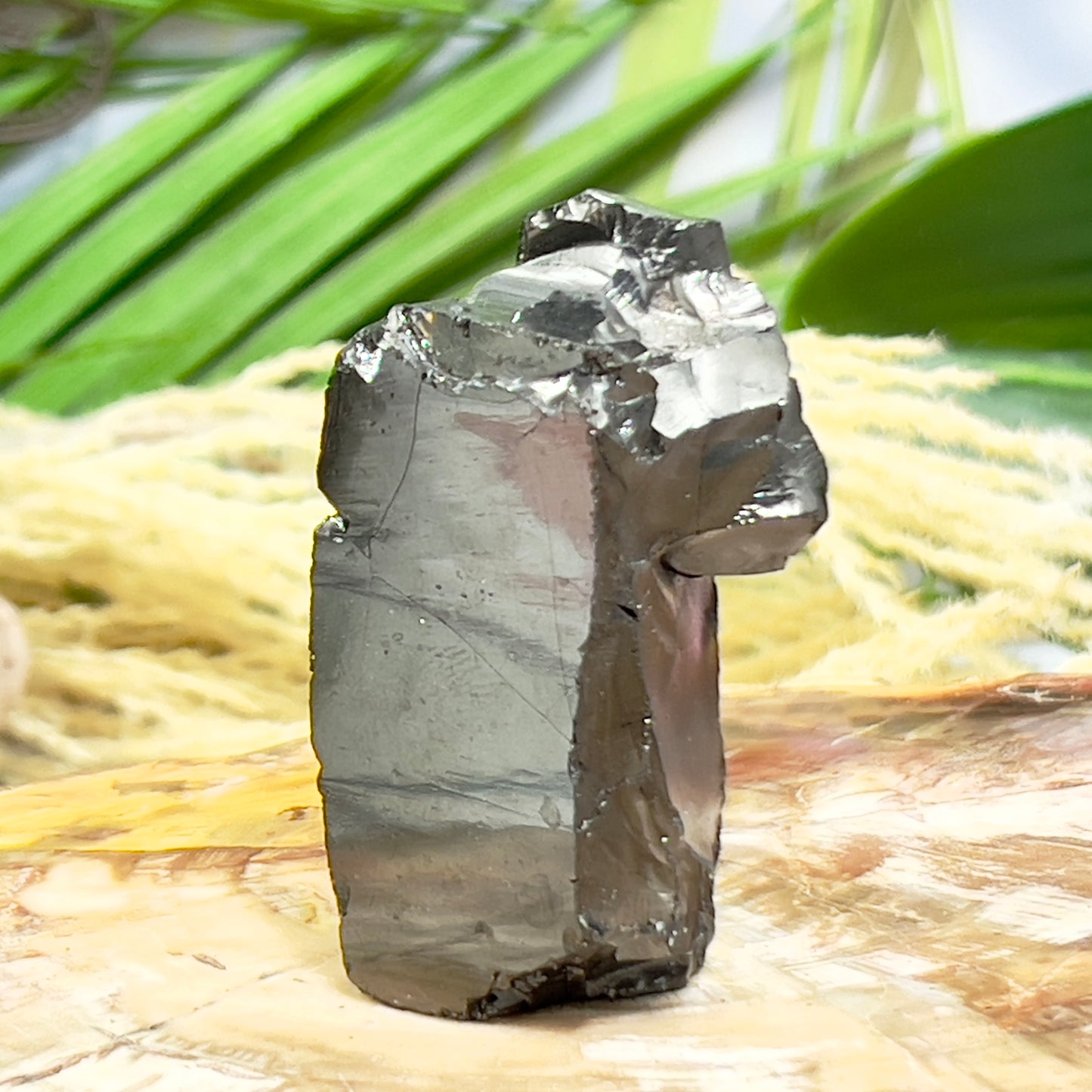 Elite Noble Shungite Raw Chunks Healing Crystal Specimen EMF Protection 
54g