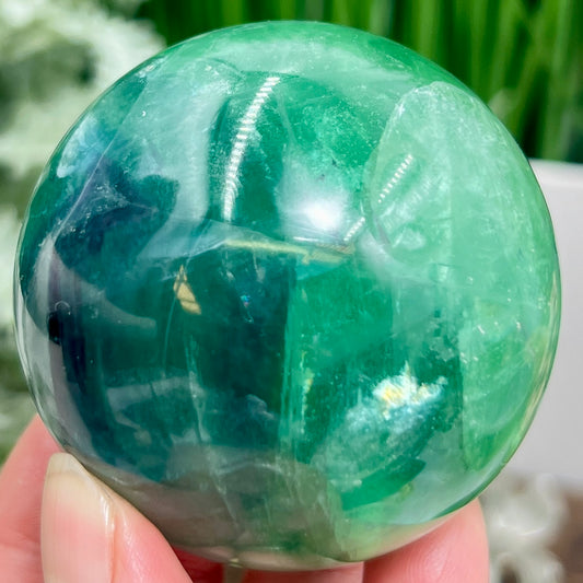 Fluorite Purple Green Flashy Sphere Healing Crystal Ball 352g 60mm