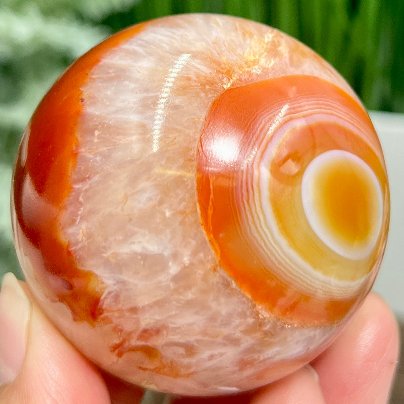 Carnelian with Quartz Sphere Healing Crystal Ball 270g 58mm