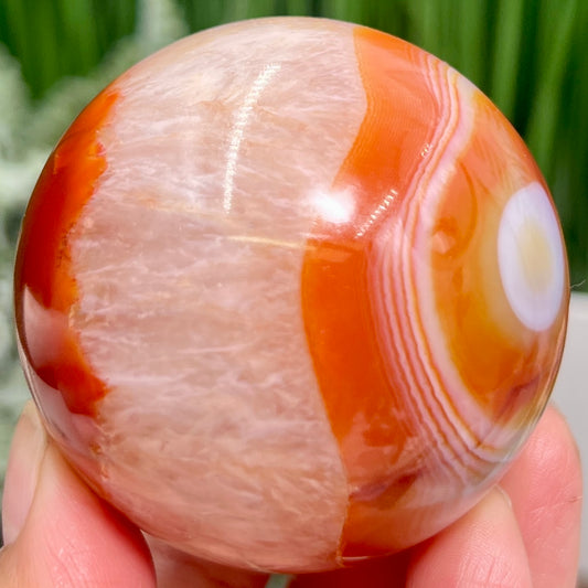 Carnelian with Quartz Sphere Healing Crystal Ball 270g 58mm