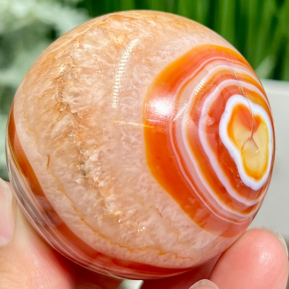 Carnelian with Quartz Sphere Healing Crystal Ball 226g 55mm