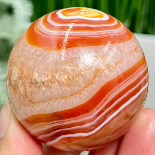 Carnelian with Quartz Sphere Healing Crystal Ball 226g 55mm