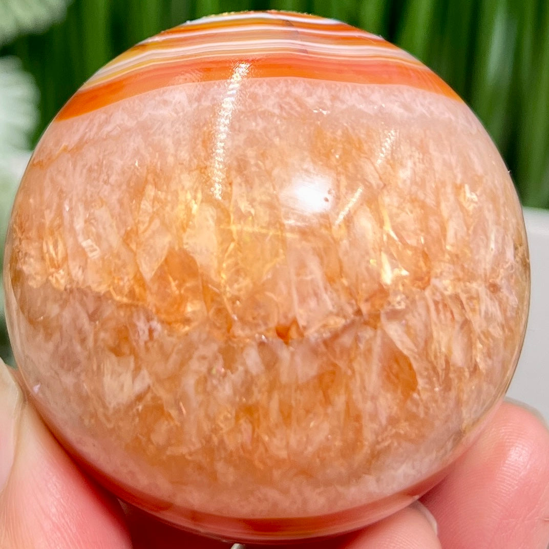 Carnelian with Quartz Sphere Healing Crystal Ball 226g 55mm