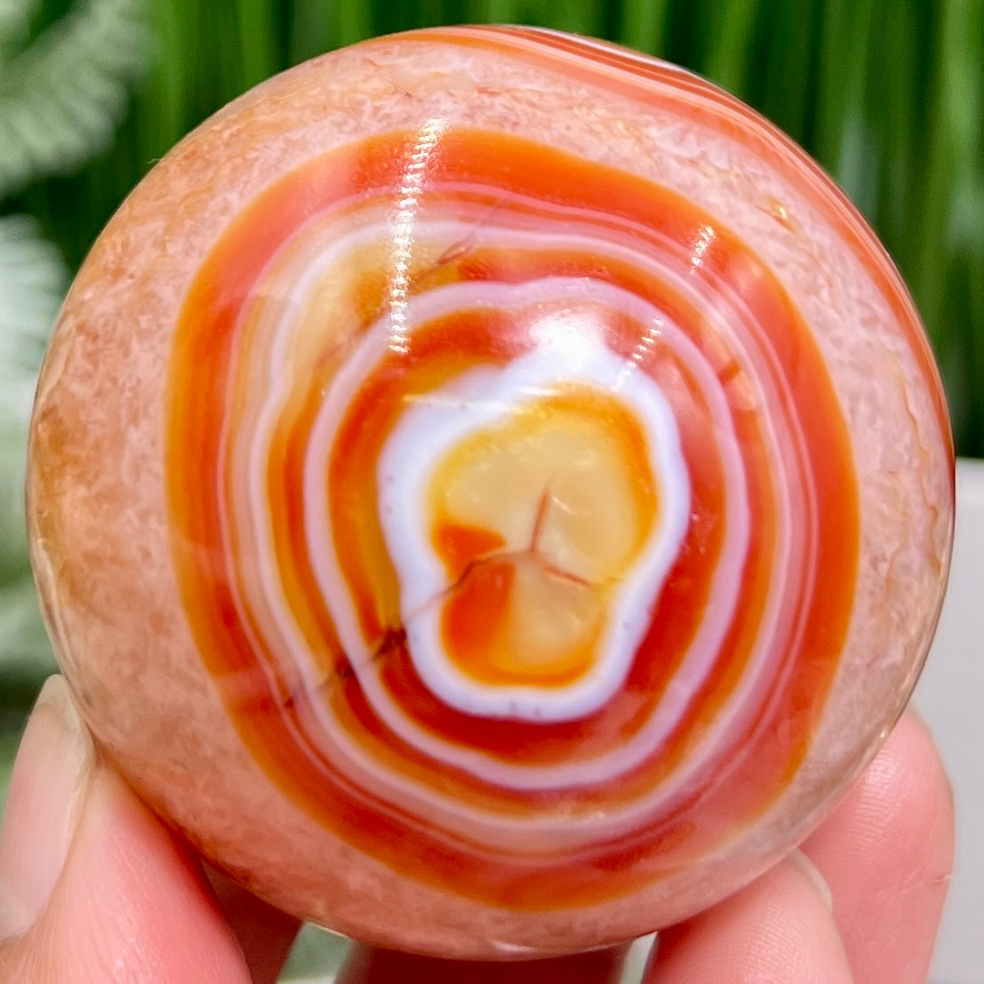 Carnelian with Quartz Sphere Healing Crystal Ball 226g 55mm