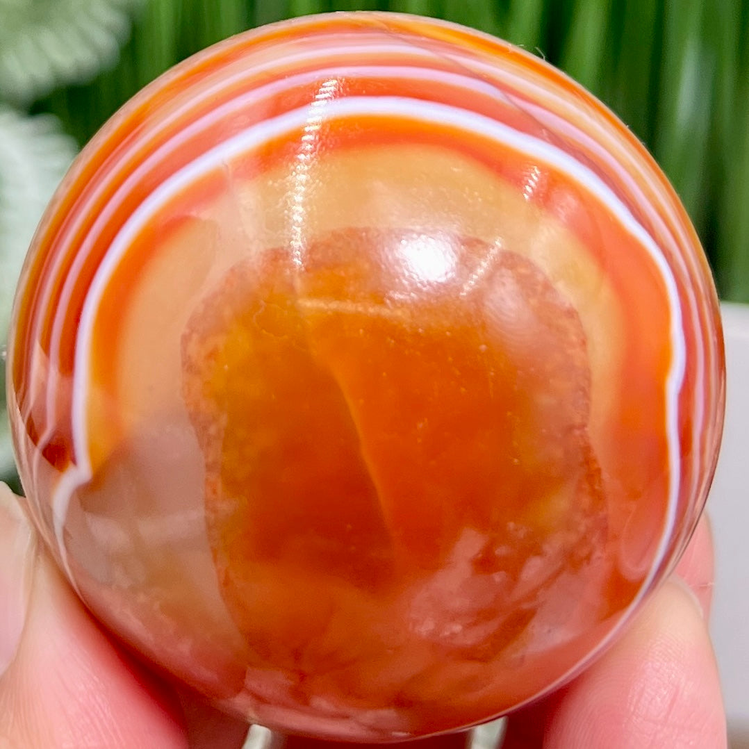 Carnelian with Quartz Sphere Healing Crystal Ball 226g 55mm