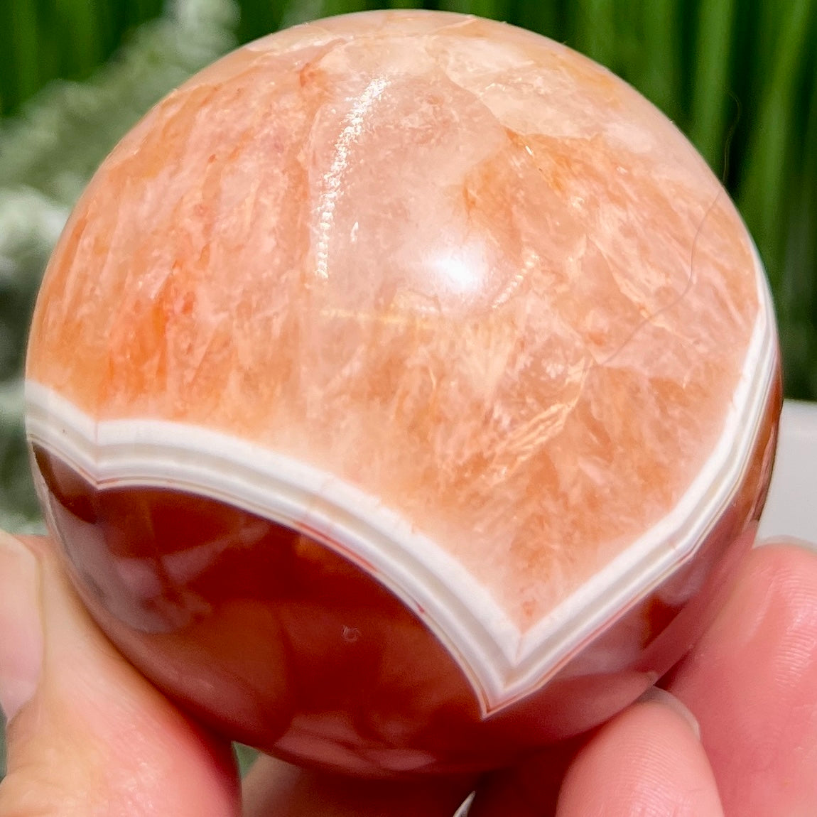 Carnelian with Quartz Sphere Healing Crystal Ball 298g 60mm