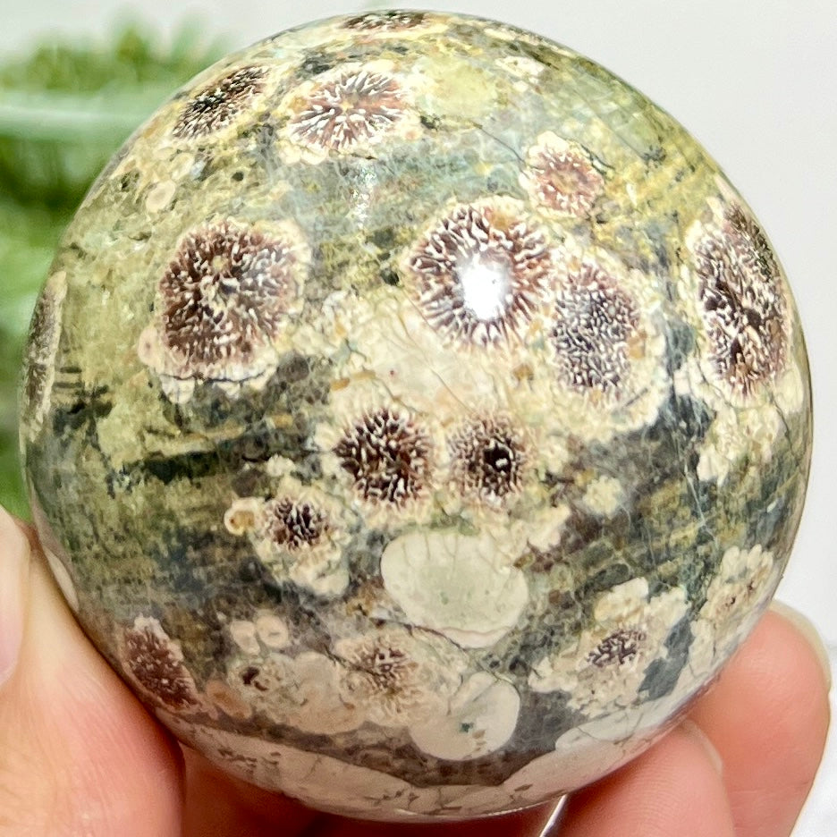 Russian Flower Cherry Blossom Jasper Sphere Rare Crystal Ball 258g 59mm