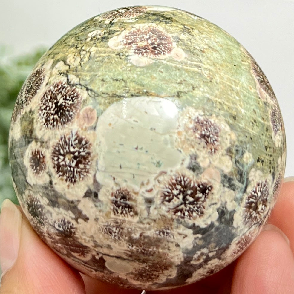 Russian Flower Cherry Blossom Jasper Sphere Rare Crystal Ball 258g 59mm