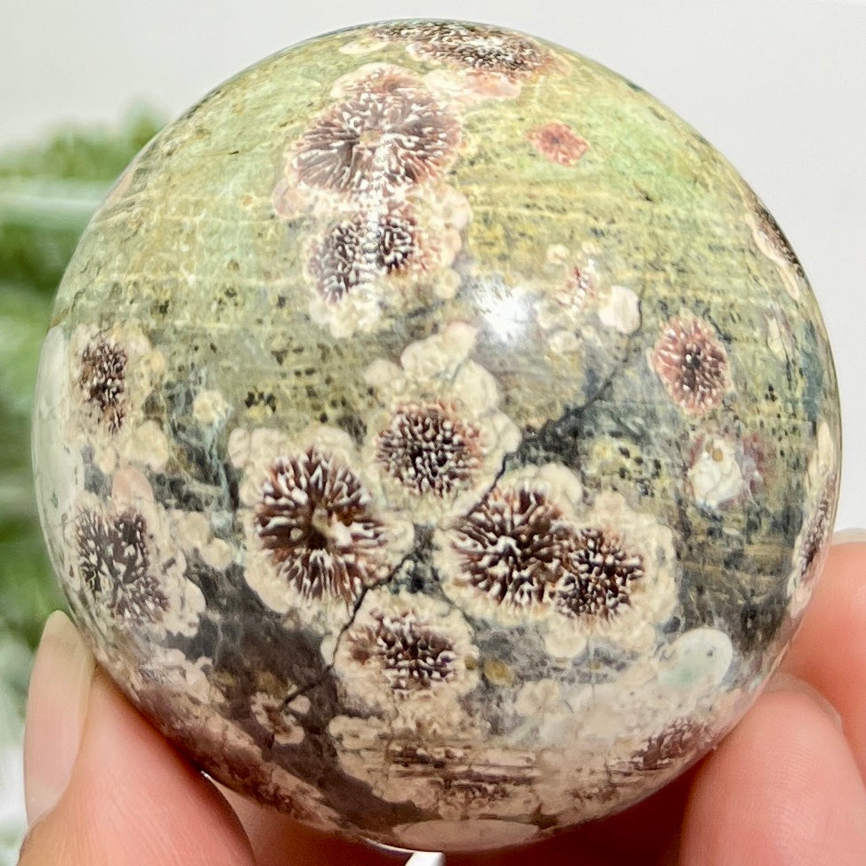 Russian Flower Cherry Blossom Jasper Sphere Rare Crystal Ball 258g 59mm