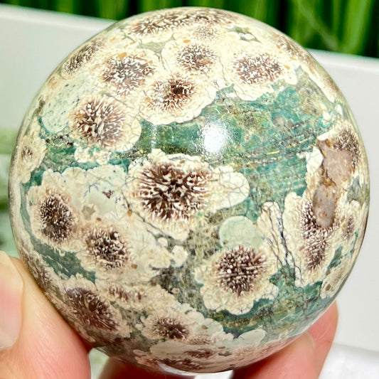 Russian Flower Cherry Blossom Jasper Sphere Rare Crystal Ball 360g 65mm