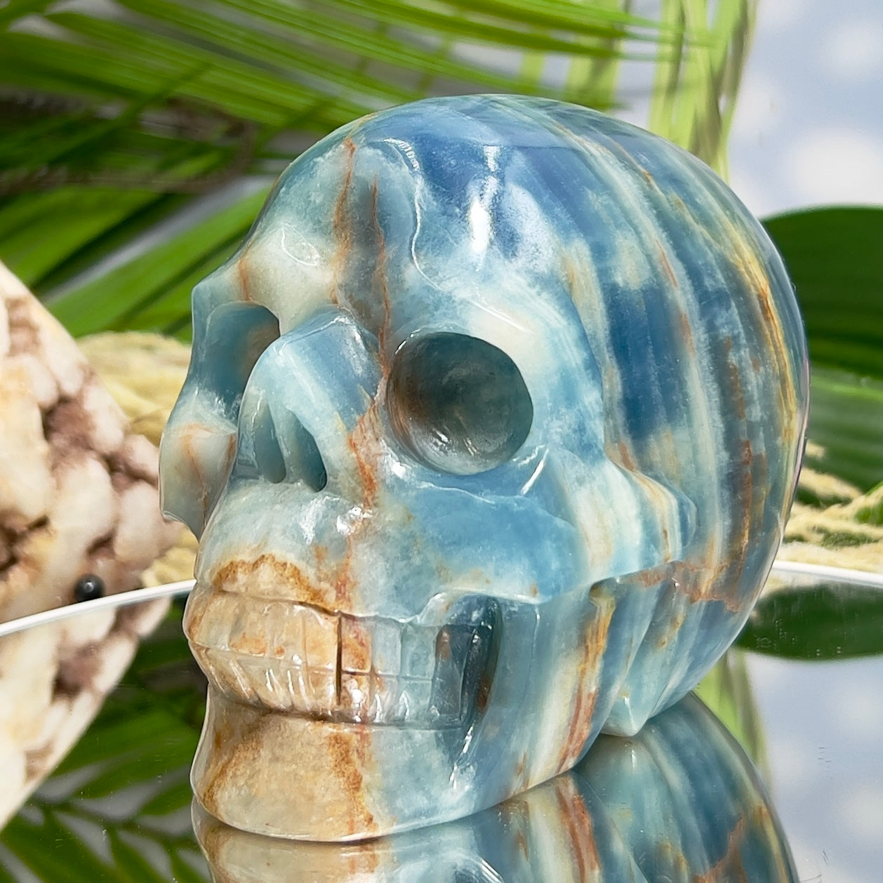 Blue Onyx Hollow Jaw Skull Healing Crystal Carving 1110g