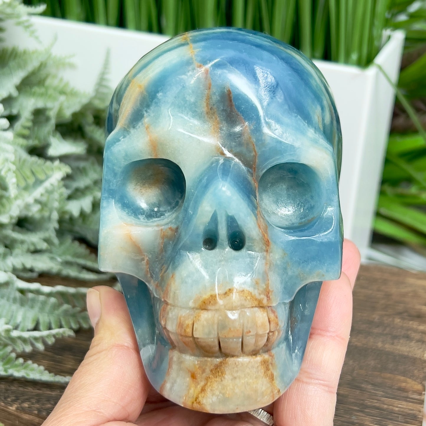 Blue Onyx Hollow Jaw Skull Healing Crystal Carving 1110g