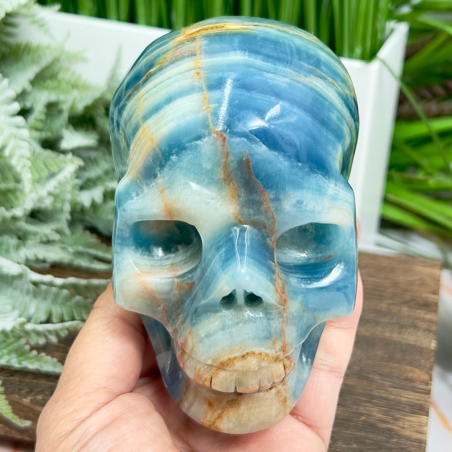 Blue Onyx Hollow Jaw Skull Healing Crystal Carving 1110g