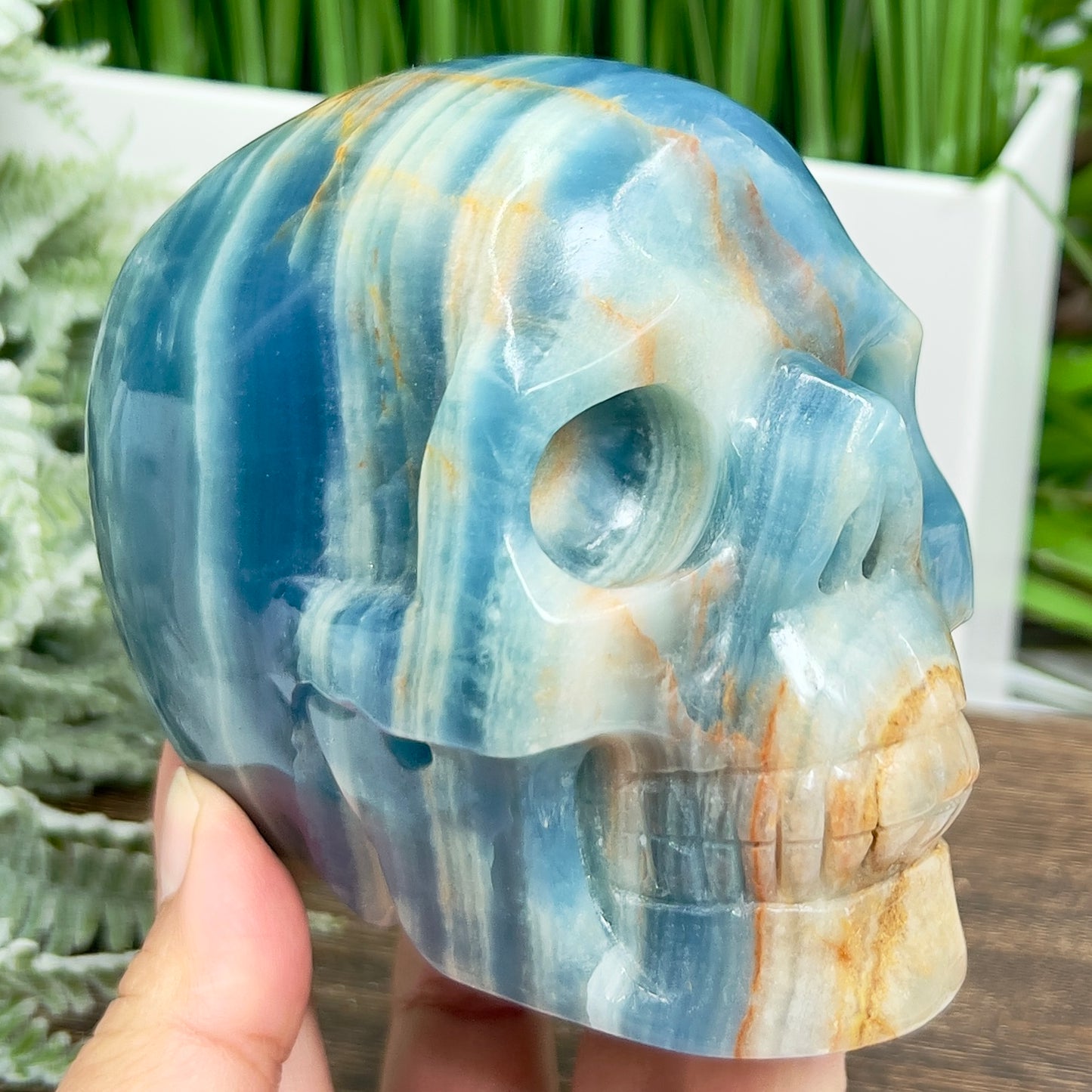 Blue Onyx Hollow Jaw Skull Healing Crystal Carving 1110g