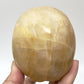 Golden Healer Quartz Skull Healing Crystal Carving 1122g