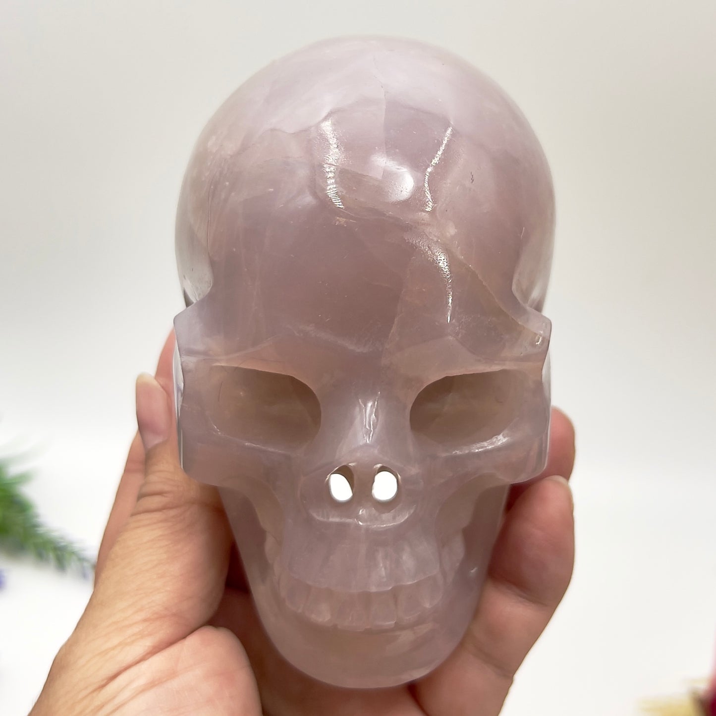 Blue Rose Quartz Hollow Jaw Skull Healing Crystal Carving 947g