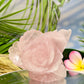 Rose Quartz Peony Flower Healing Crystal Carving 542g