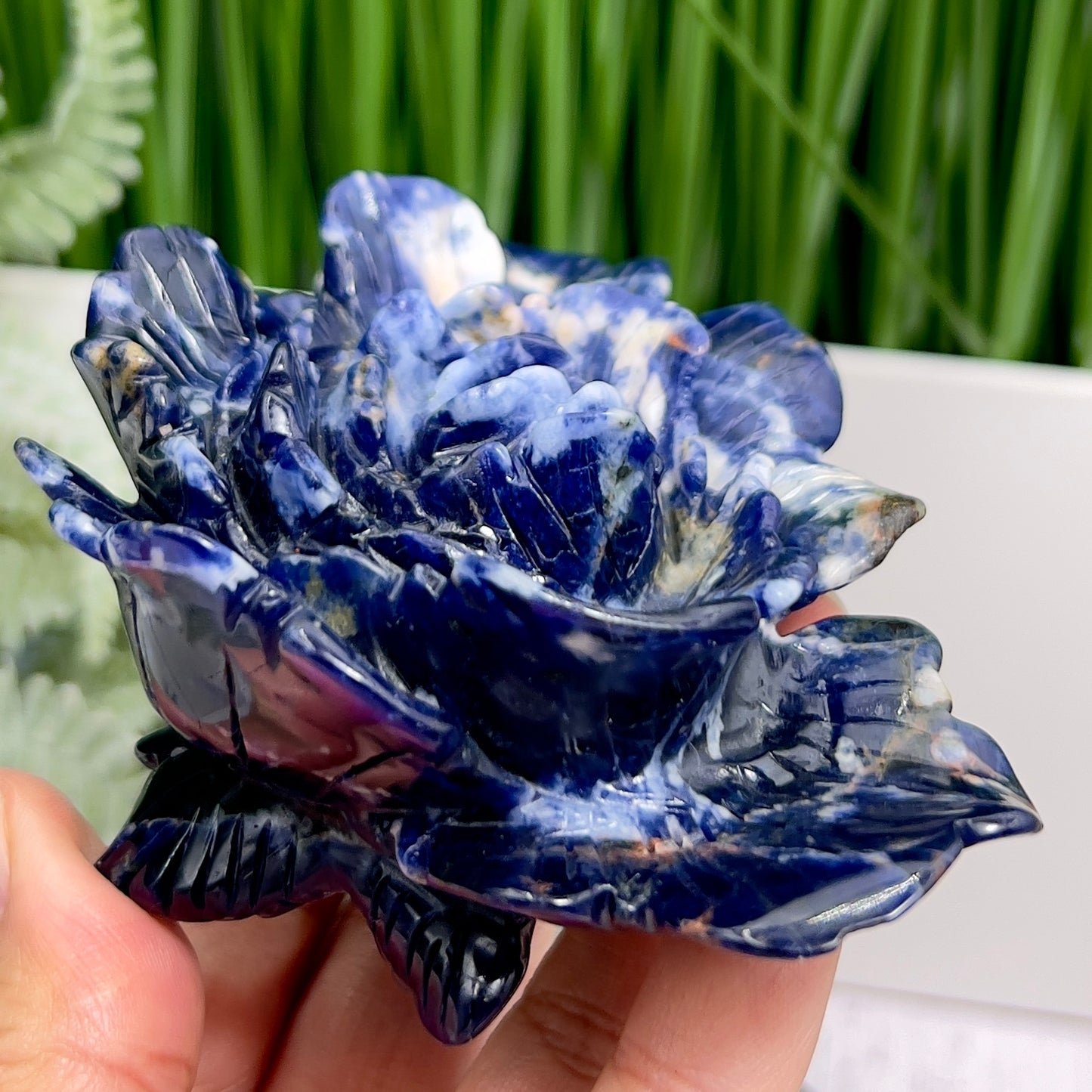 Sodalite Lotus Flower Healing Crystal Carving 222g