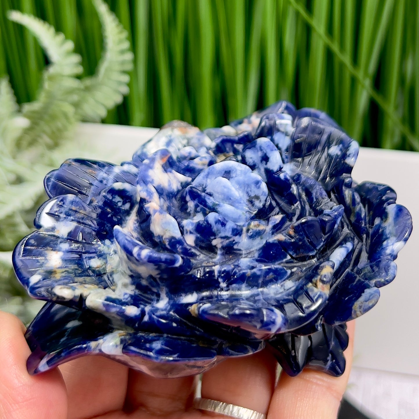 Sodalite Lotus Flower Healing Crystal Carving 222g