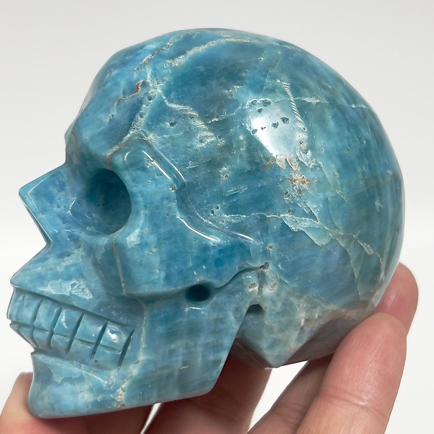 Blue Apatite Skull Healing Crystal Carving 501g