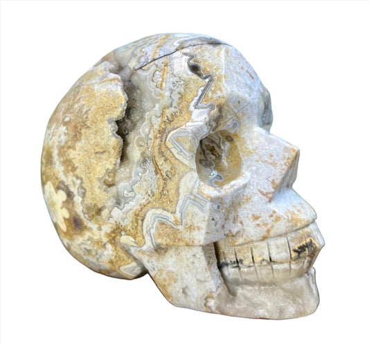 White Mexican Crazy Lace Agate Skull Crystal Skull Carving Australian Seller