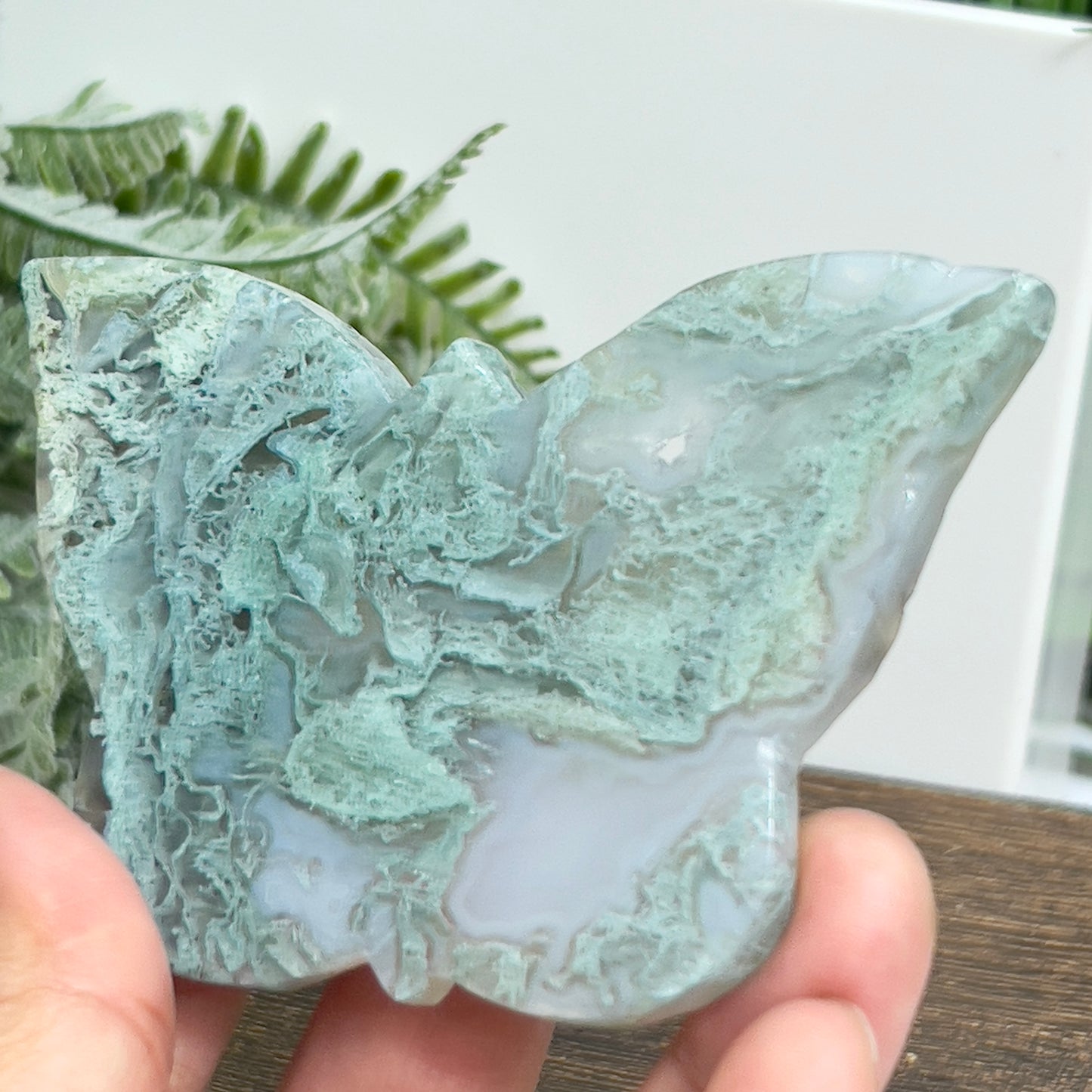 Moss Agate Butterfly with Stand Healing Crystal Nature Carving 70g