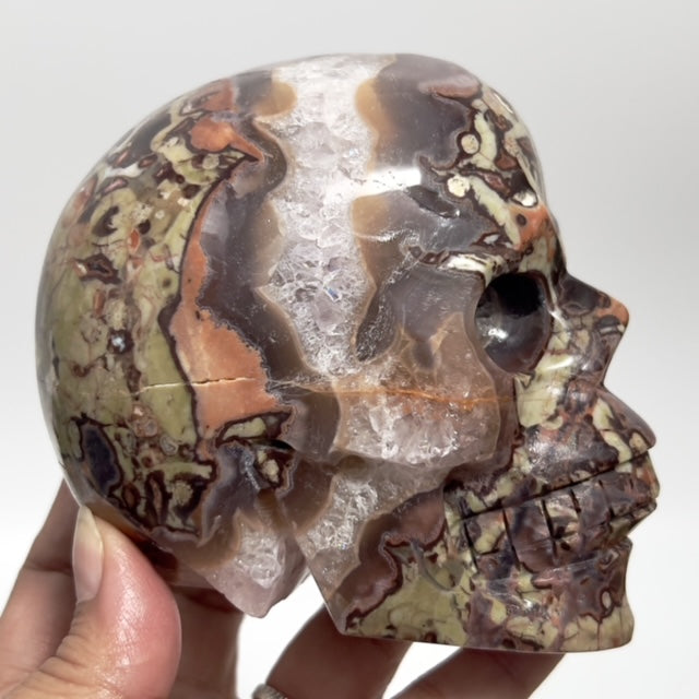 Indonesian Bloodstone Money Agate Skull Healing Crystal Carving 1095g