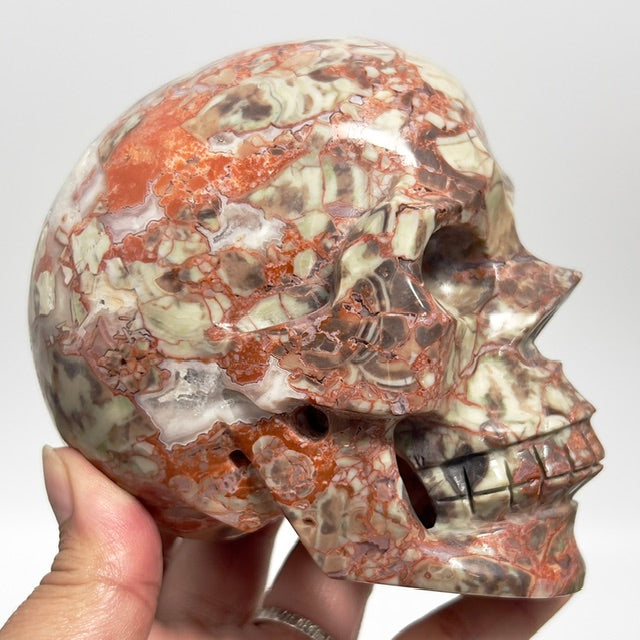 Indonesian Bloodstone Money Agate Skull Healing Crystal Carving 1028g