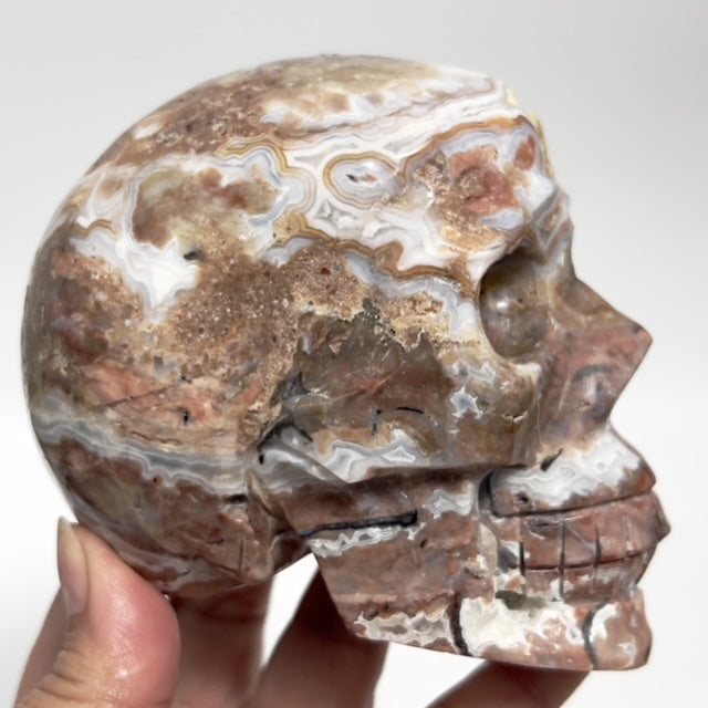 Mexican Crazy Lace Agate Skull Healing Crystal Carving 900g