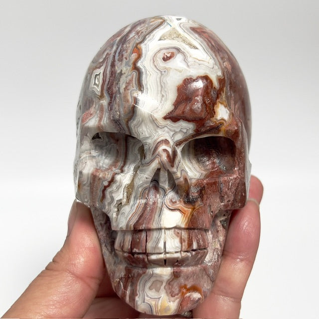 Mexican Crazy Lace Agate Skull Healing Crystal Carving 800g