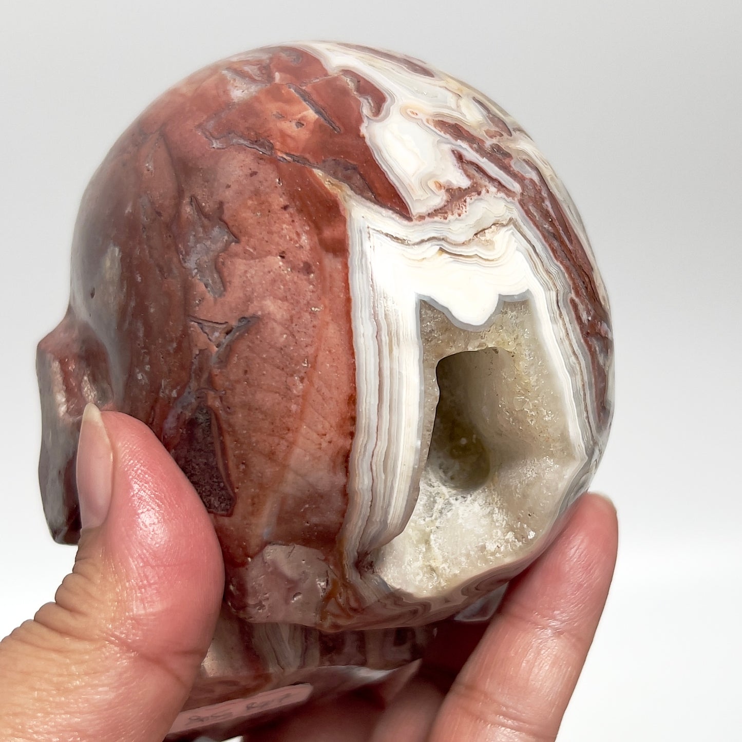 Mexican Crazy Lace Agate Skull Healing Crystal Carving 800g