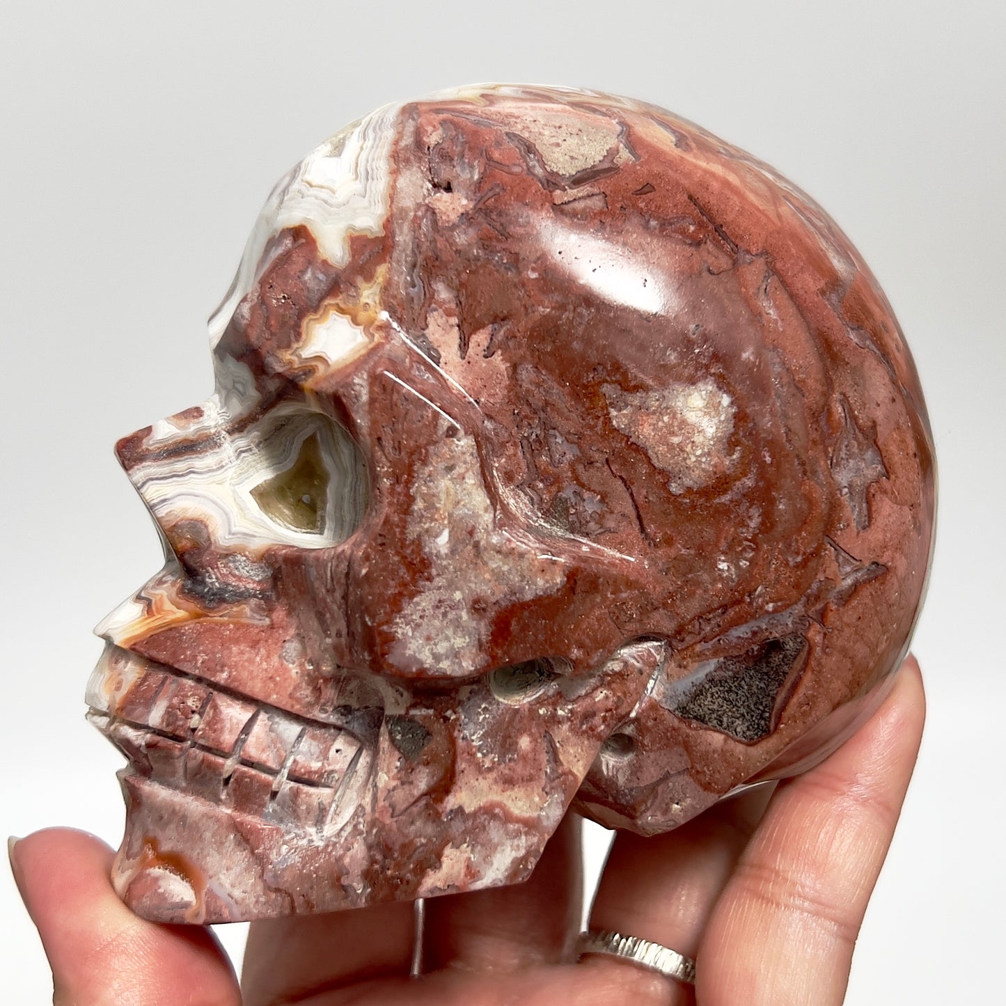 Mexican Crazy Lace Agate Skull Healing Crystal Carving 800g