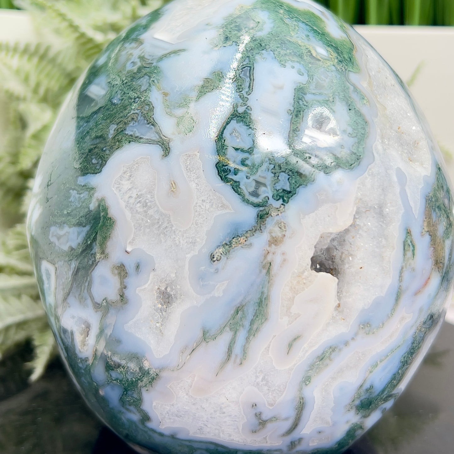 Moss Agate Druzy Hollow Jaw Skull Extra Large Healing Crystal Carving 2982g