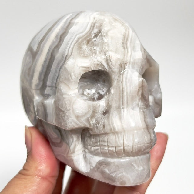 White Crazy Lace Agate Skull Healing Crystal Carving 811g