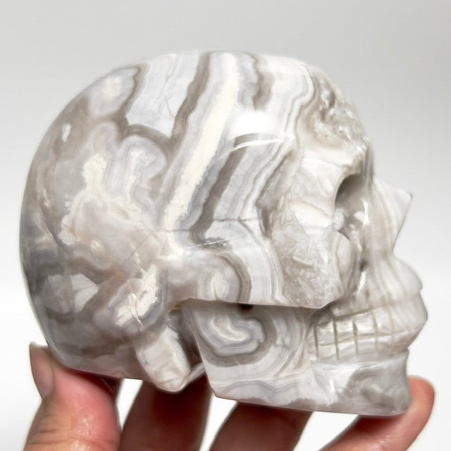 White Crazy Lace Agate Skull Healing Crystal Carving 811g