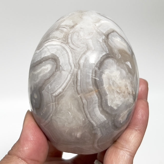 White Crazy Lace Agate Skull Healing Crystal Carving 811g