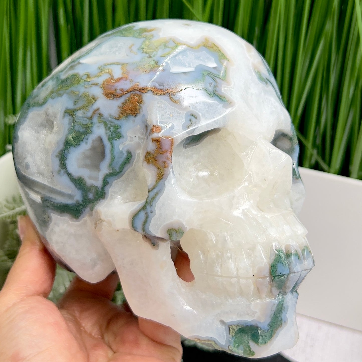 Moss Agate Druzy Hollow Jaw Skull Extra Large Healing Crystal Carving 2982g